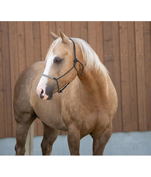 Knotenloses Halfter Bonny