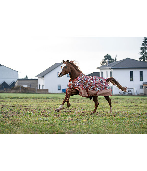 Regendecke Billy