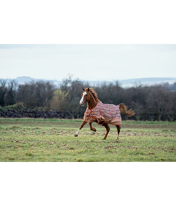 Regendecke Billy