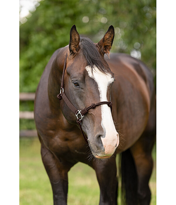 Hybrid Knotenhalfter