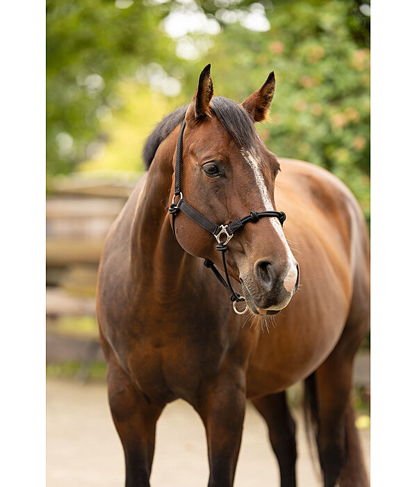 Hybrid Knotenhalfter