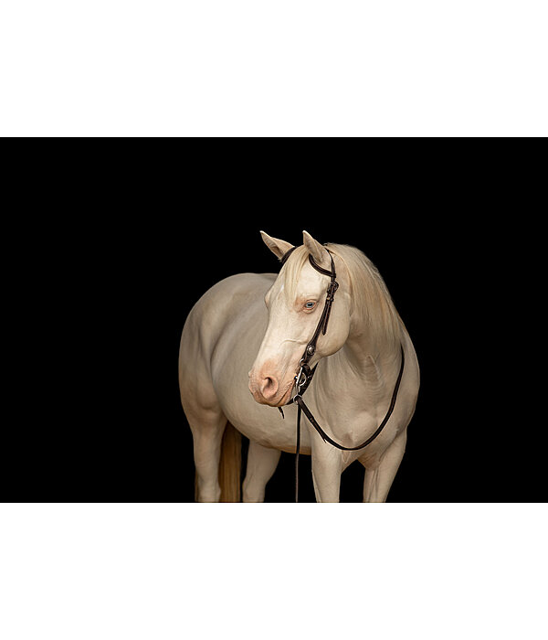 Zweiohr-Kopfst�ck Leaves