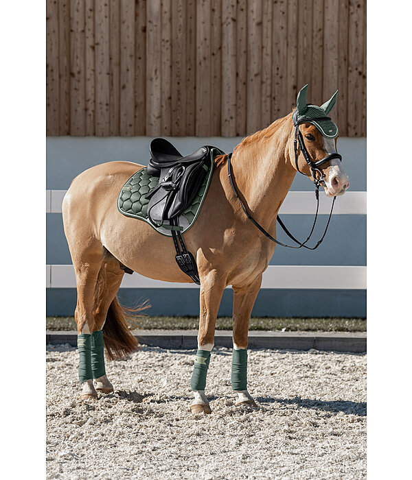 Schabracke Basic Pro