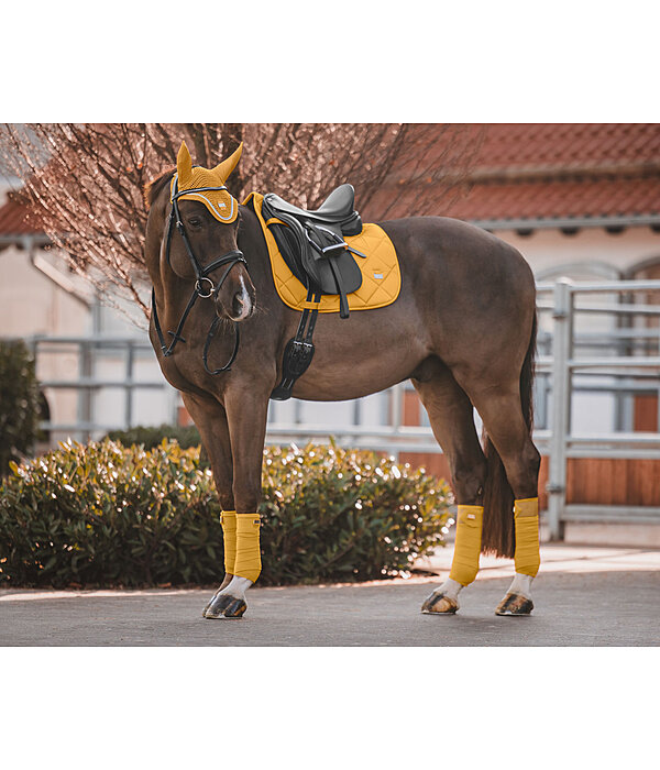 Schabracke Essential Standard