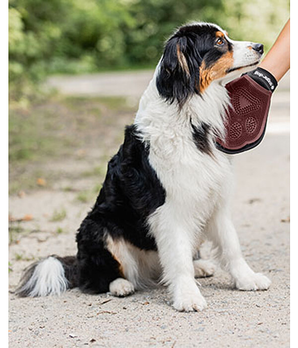 Massage- und Pflegehandschuh für Hunde