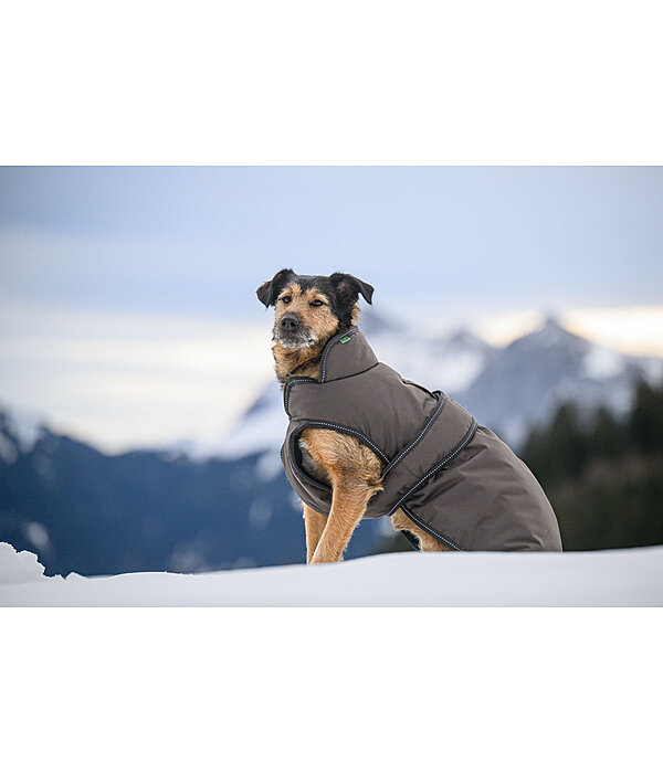 Hunde Wintermantel Eddie mit Fleeceinnenfutter, 200 g