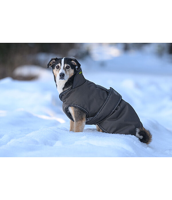 Hunde Wintermantel Eddie mit Fleeceinnenfutter, 200 g