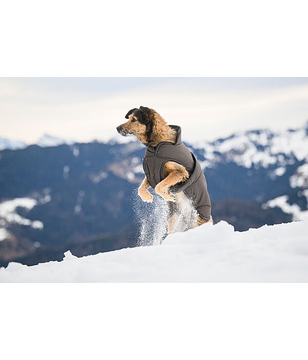 Hunde Wintermantel Eddie mit Fleeceinnenfutter, 200 g