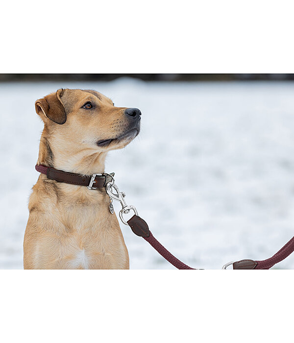 Hundehalsband Rope