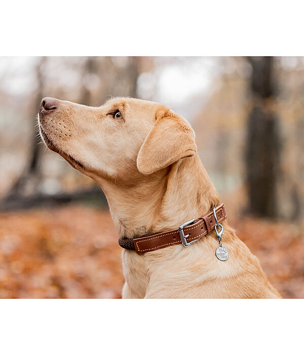Hundehalsband Rope
