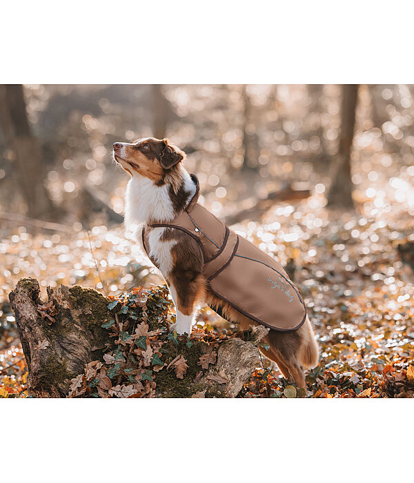 2 in 1 Nylon-Hundemantel Ally