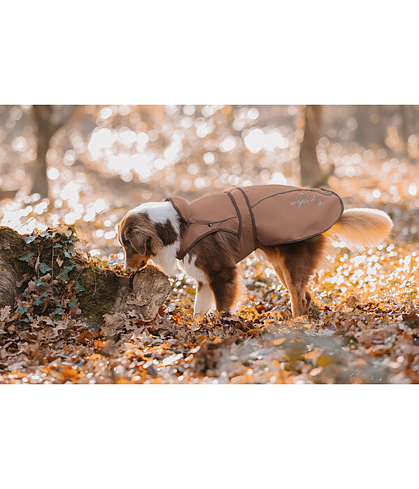 2 in 1 Nylon-Hundemantel Ally