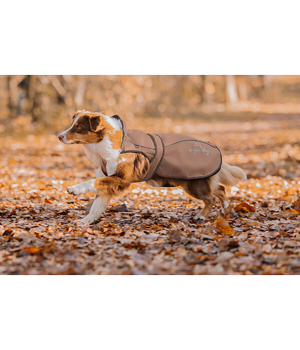 2 in 1 Nylon-Hundemantel Ally