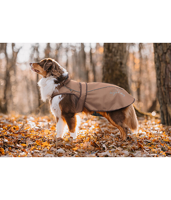 2 in 1 Nylon-Hundemantel Ally