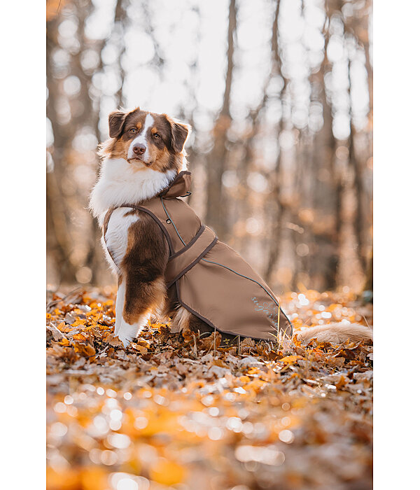 2 in 1 Nylon-Hundemantel Ally