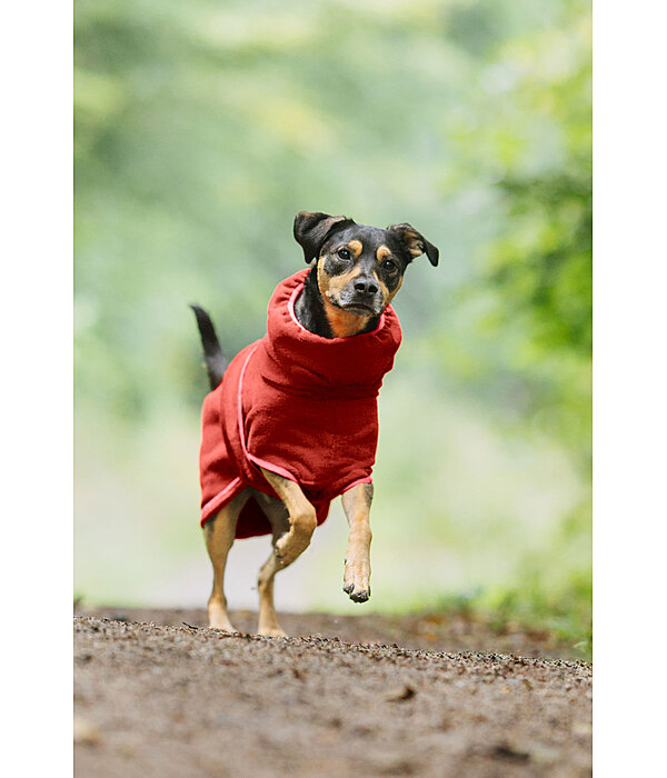 Hunde-Trocknungscape Dry Dog II
