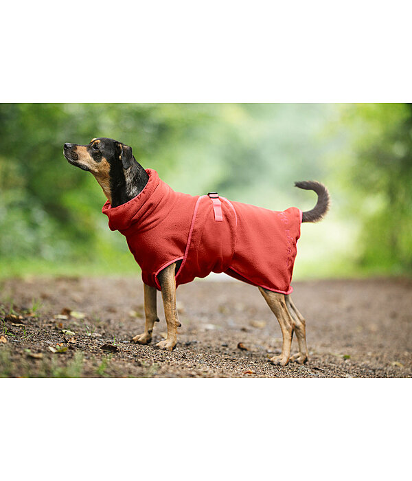 Hunde-Trocknungscape Dry Dog II