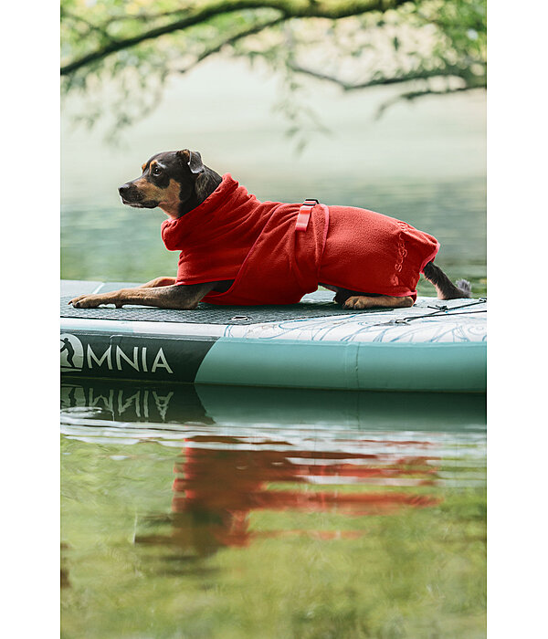 Hunde-Trocknungscape Dry Dog II