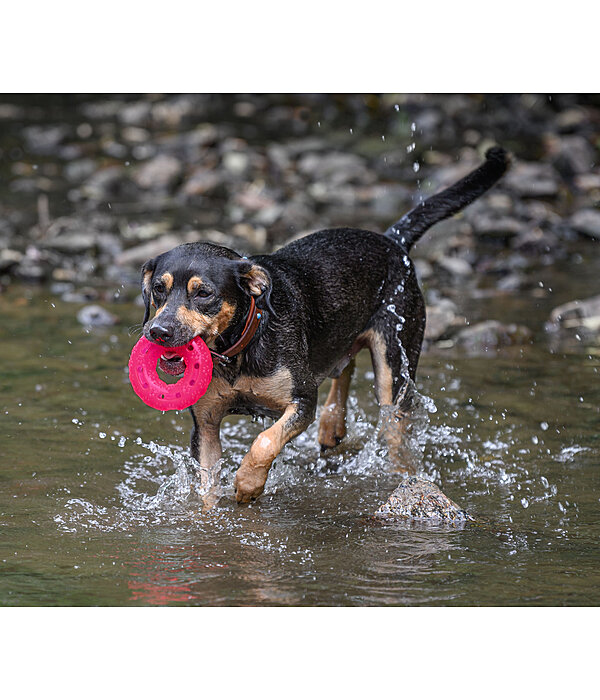 Hundespielzeug Mia