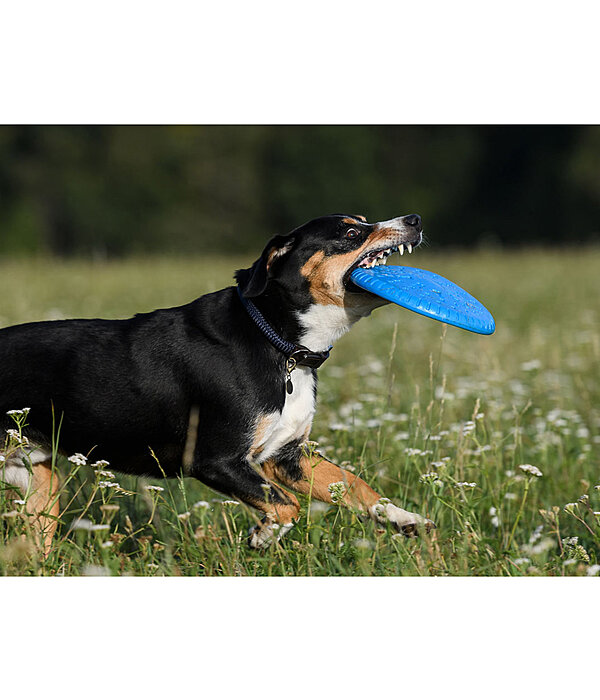 Hunde-Frisbee Runaway