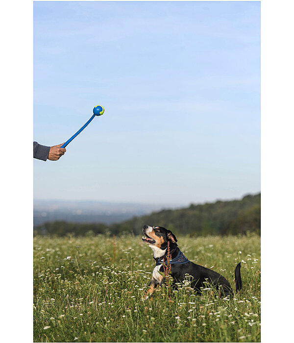 Hundespielzeug Weitwurfstab Sprint mit Tennisball