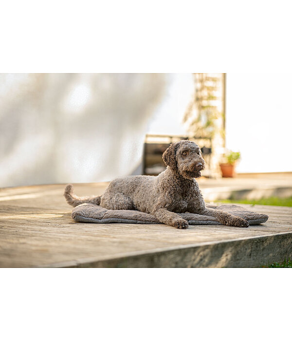 Hunde-Liegedecke Let Me Sleep