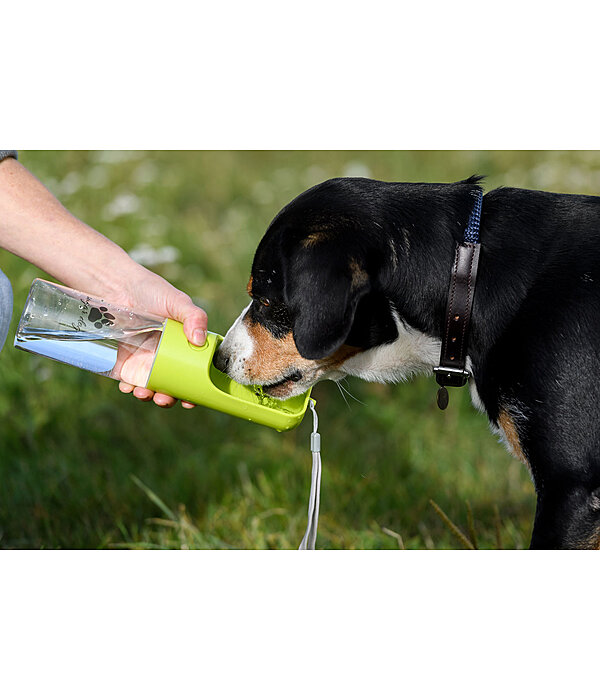 Hunde-Reisetrinkflasche Wanderlust