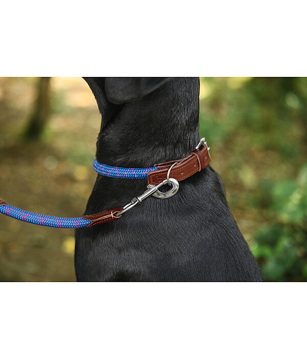 Hundehalsband Coloured Rope