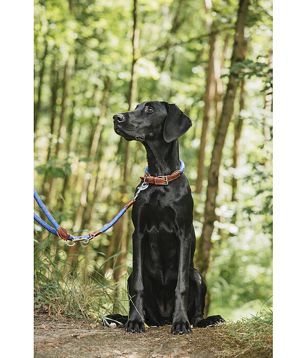 Hundeleine Coloured Rope