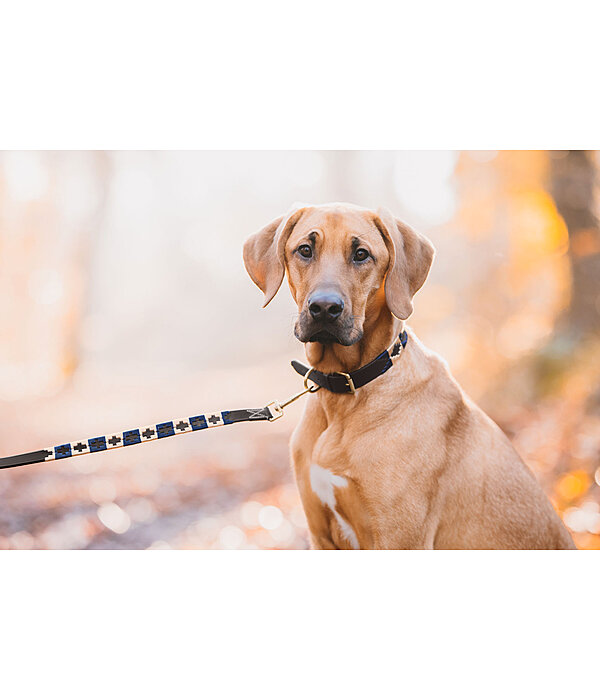 Set: Leder-Hundehalsband und -leine Polo Sports