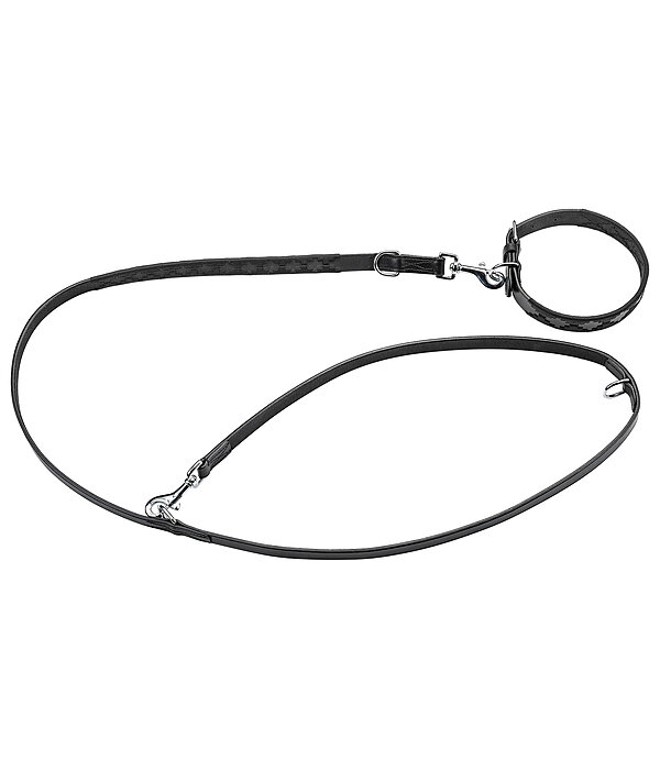 Set: Leder-Hundehalsband und -leine Polo Sports