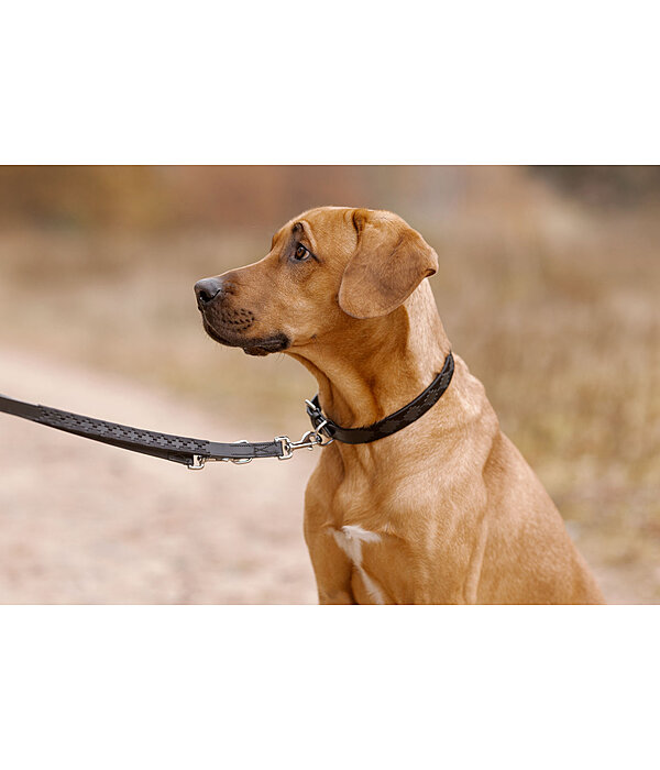 Set: Leder-Hundehalsband und -leine Polo Sports