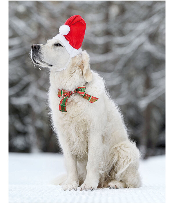 Weihnachtsmützen für Hunde Nikolausmütze Santa Claus Mütze Xmas XL 
