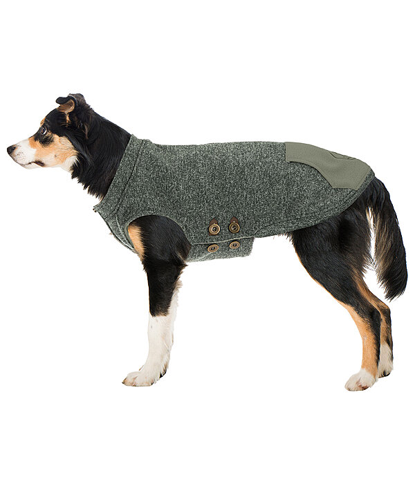 Hunde-Pullover Seb