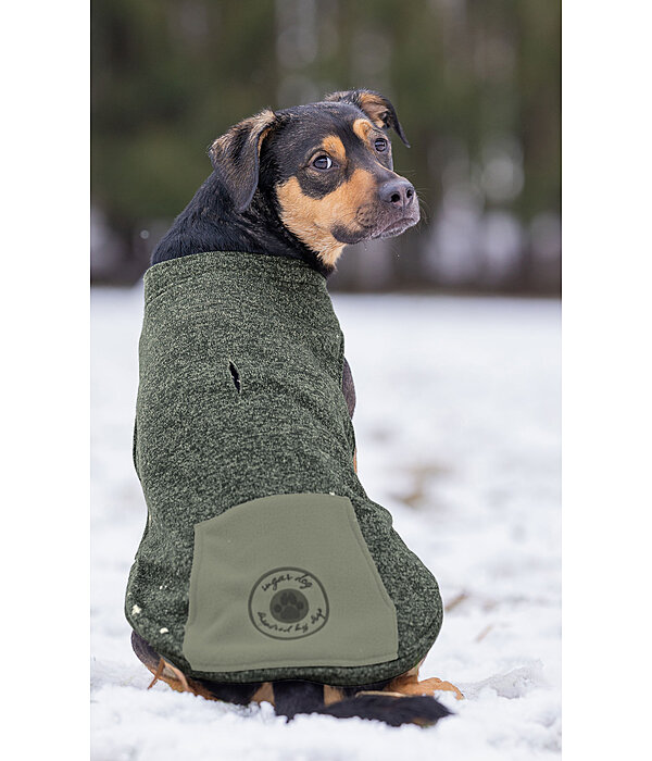 Hunde-Pullover Seb