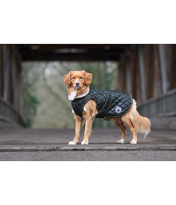 Hundemantel Archie mit Teddyfleece-Innenfutter, 160 g