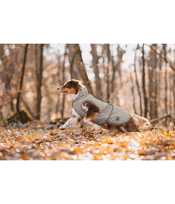 Hundemantel Archie mit Teddyfleece-Innenfutter, 160 g
