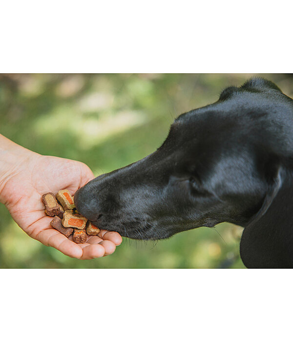 Bunter Snack-Mix fr Hunde