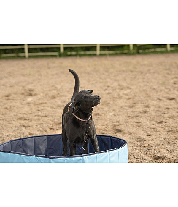 Hunde-Pool Kaya