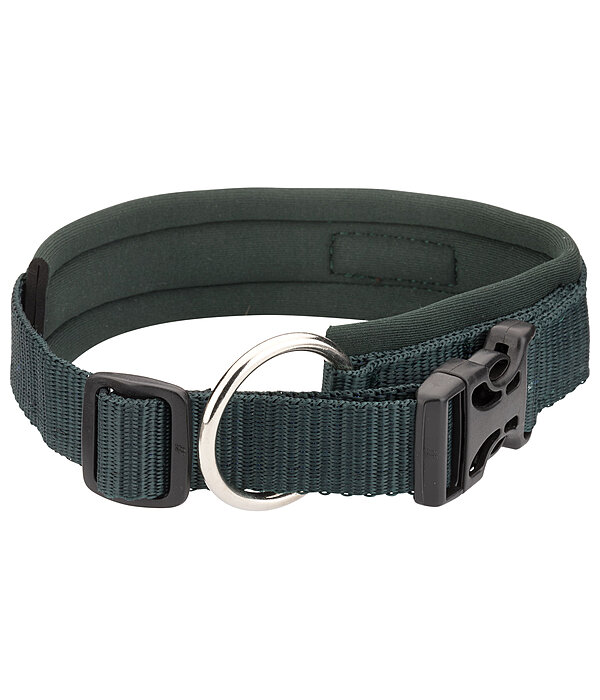 Hundehalsband Becks