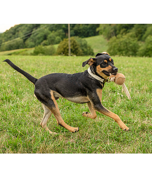 Wurf-Hundespielzeug Home Run