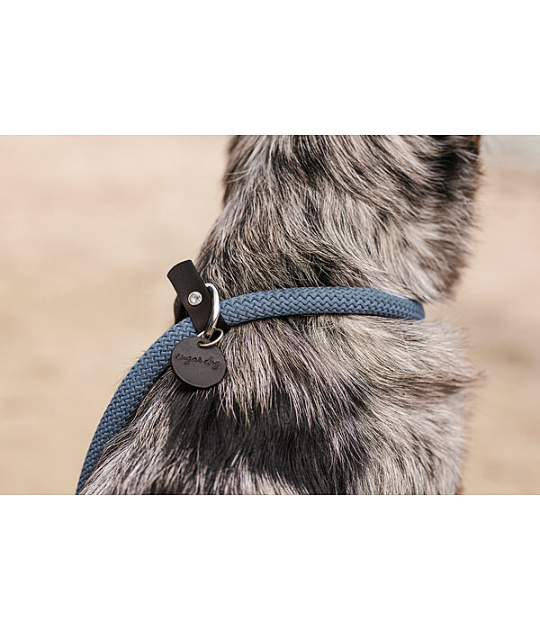 Retriever-Leine Rope