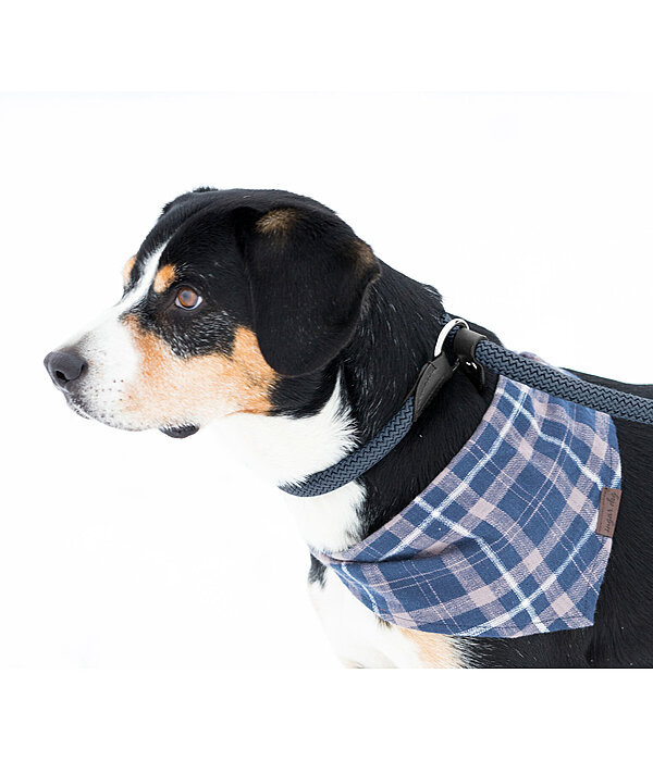 Retriever-Leine Rope