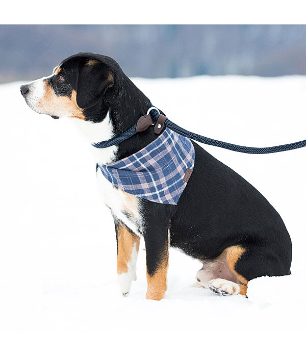 Retriever-Leine Rope
