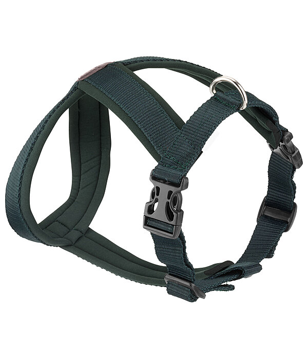 Hundegeschirr Piper