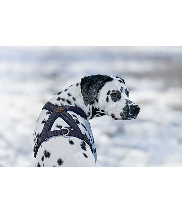 Hundegeschirr Piper