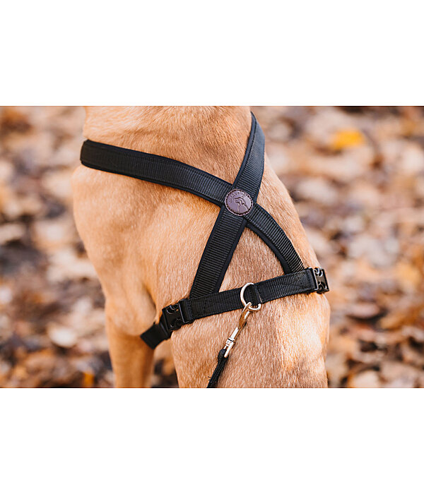 Hundegeschirr Piper