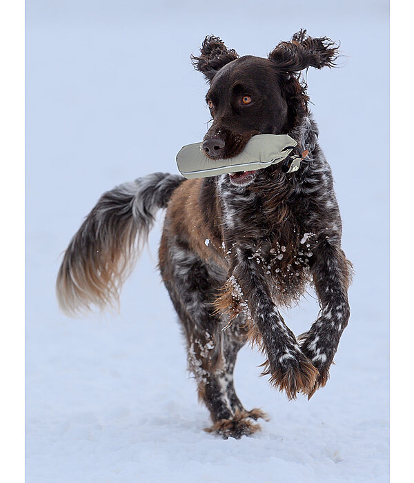 Trainingsdummy fr Hundes Nemo