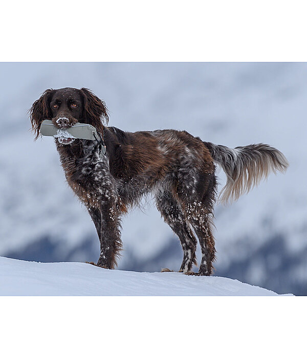 Trainingsdummy fr Hundes Nemo