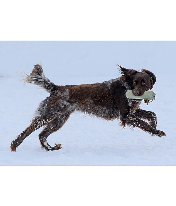 Trainingsdummy fr Hundes Nemo